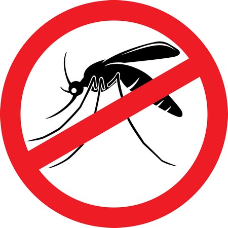 Mosquito Control Services So You Can Simply Enjoy Your Yard